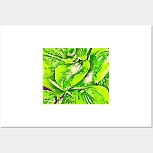 Tropical inspired hosta print Posters and Art